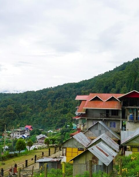 Sillery Gaon Homestay