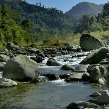 Rishi River With Stone