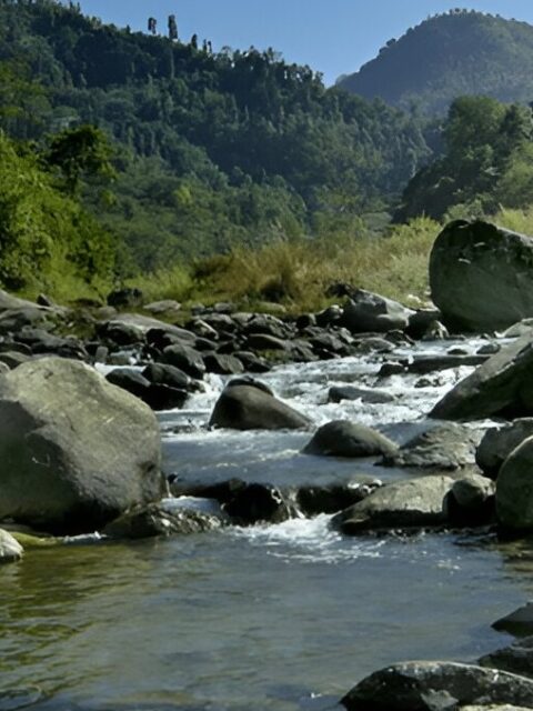 Rishi River With Stone