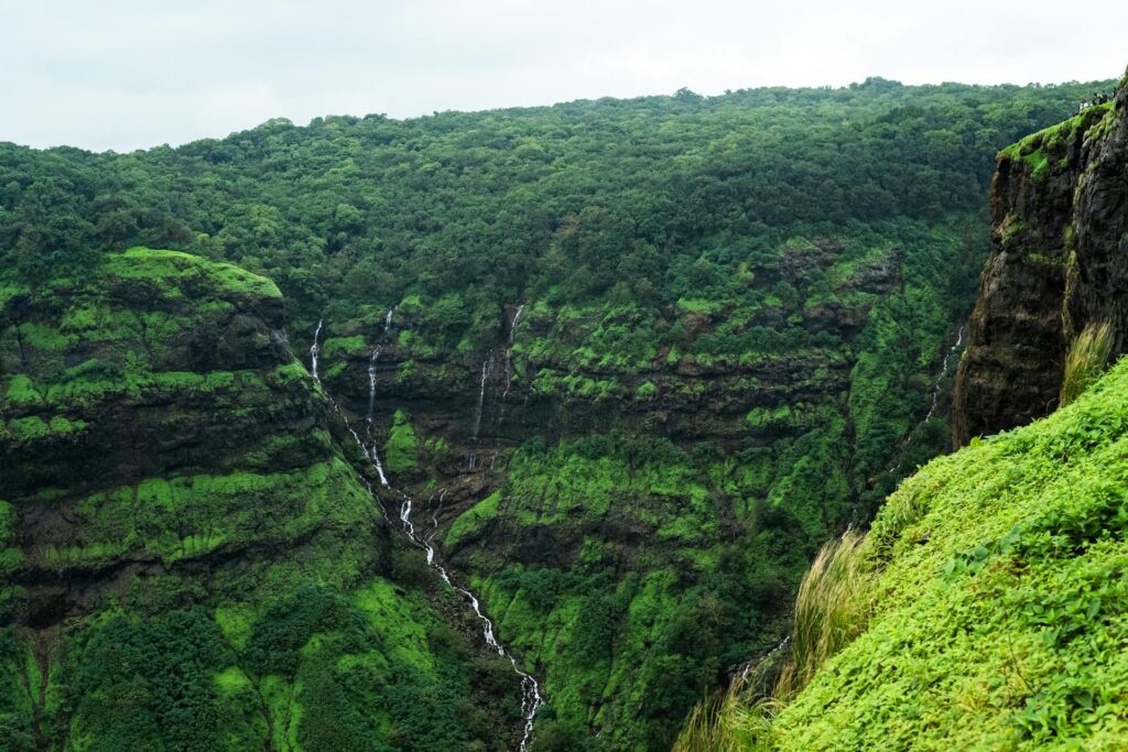 Best Places to Visit in India in August