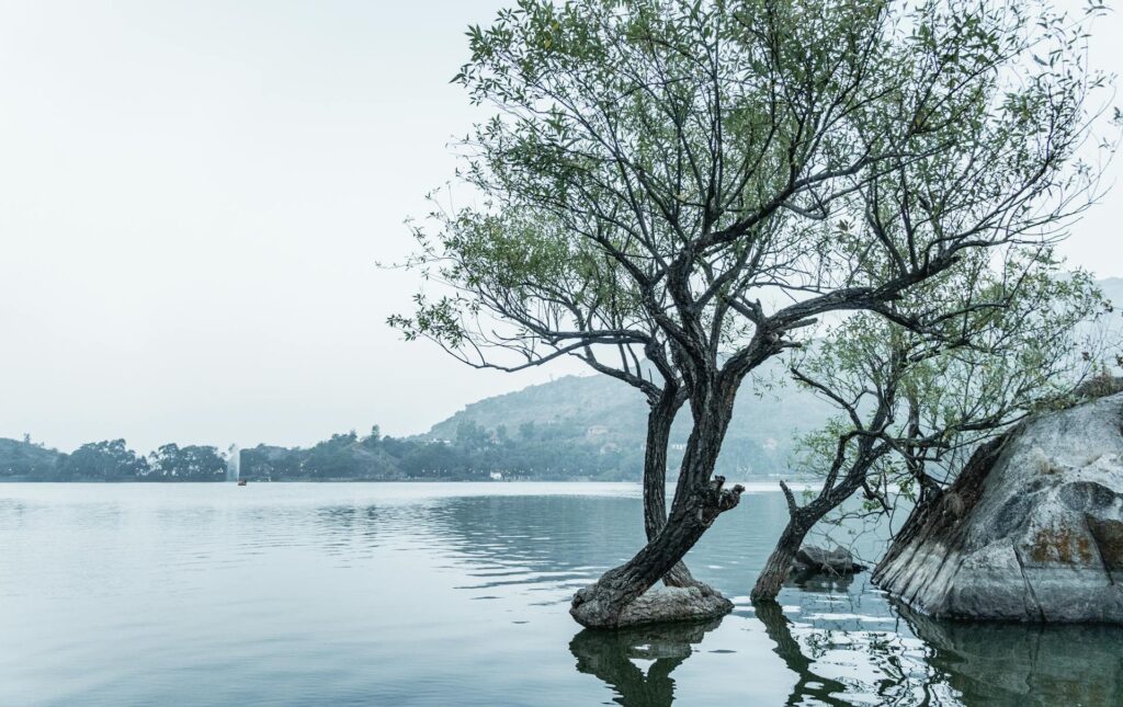 Mount Abu