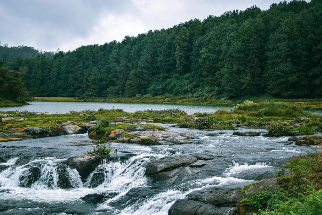 Ooty