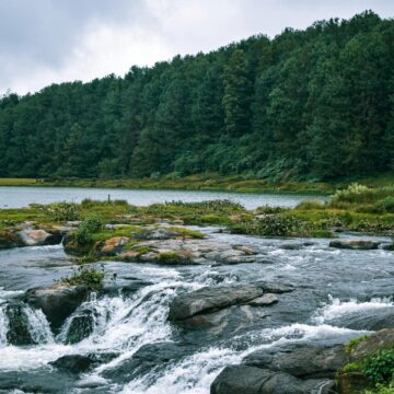Ooty