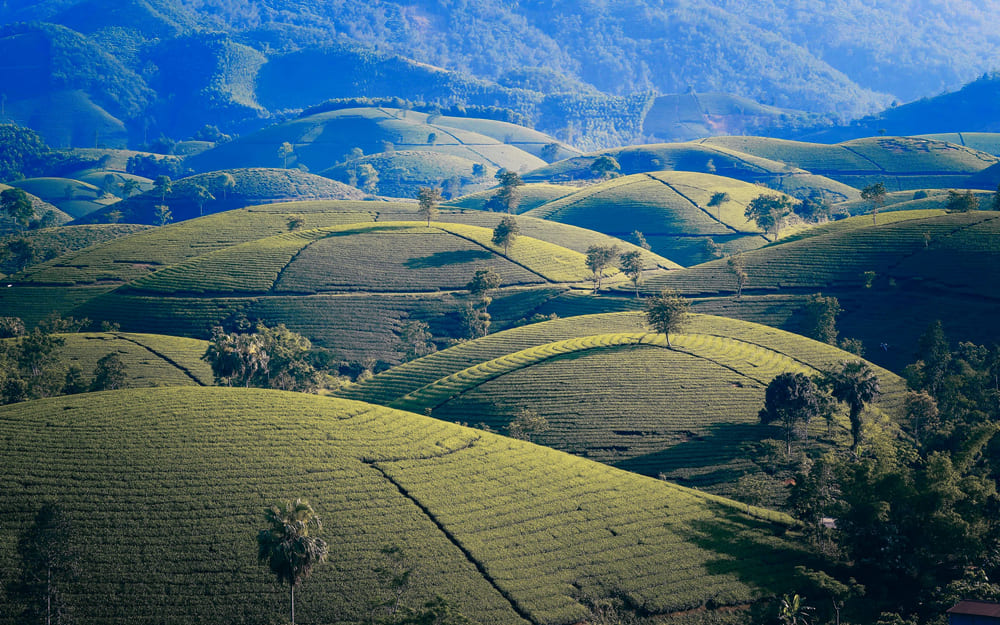 Coonoor