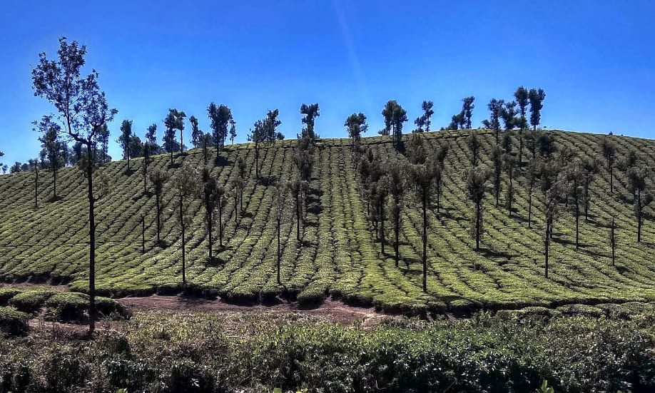 Valparai