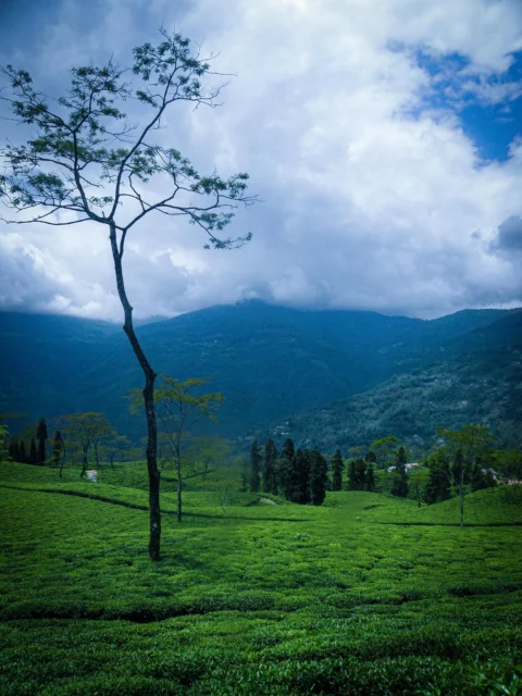 Offbeat Places Near Darjeeling