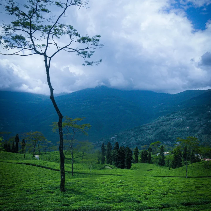 Offbeat Places Near Darjeeling