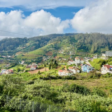 Best Places To Visit In Ooty